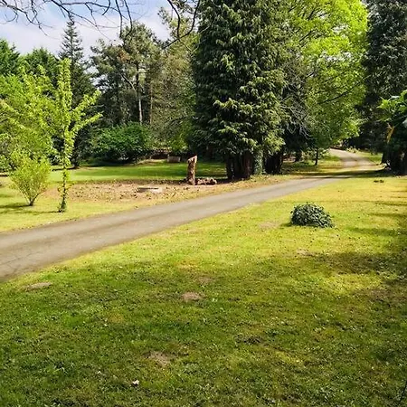 아파트 L'appar Du Grand Bois - Jacuzzi - *