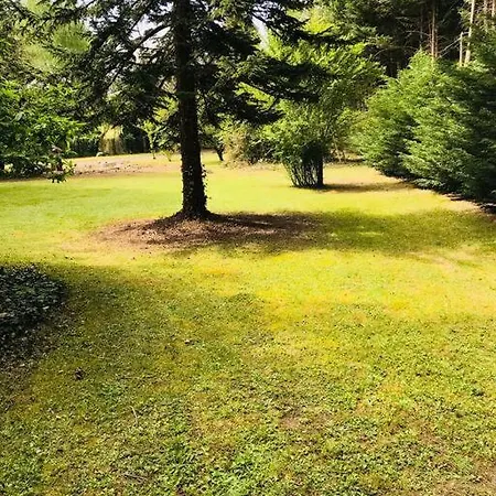 L'appar Du Grand Bois - Jacuzzi - *