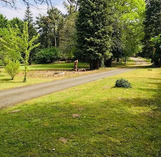 Apartament L'appar Du Grand Bois - Jacuzzi - *