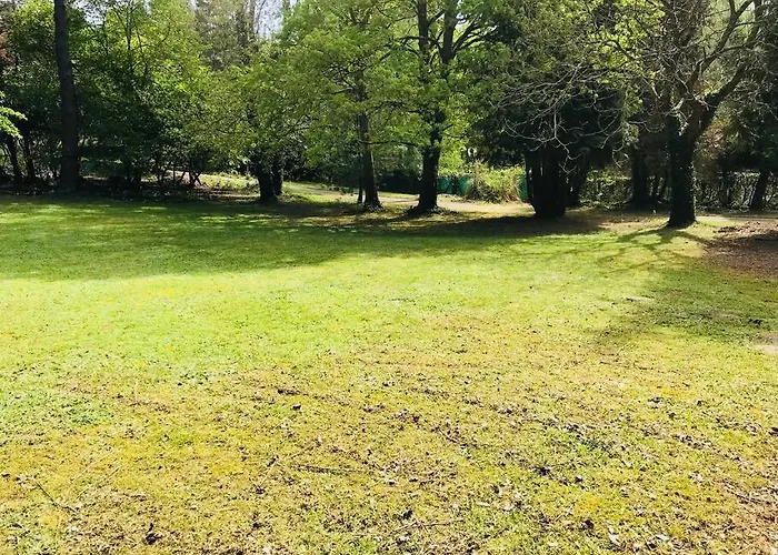 Apartament L'appar Du Grand Bois - Jacuzzi - Soucelles