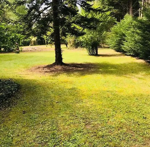 L'appar Du Grand Bois - Jacuzzi - *